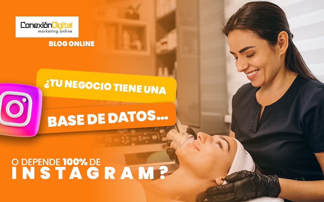 La importancia de tener una base de datos